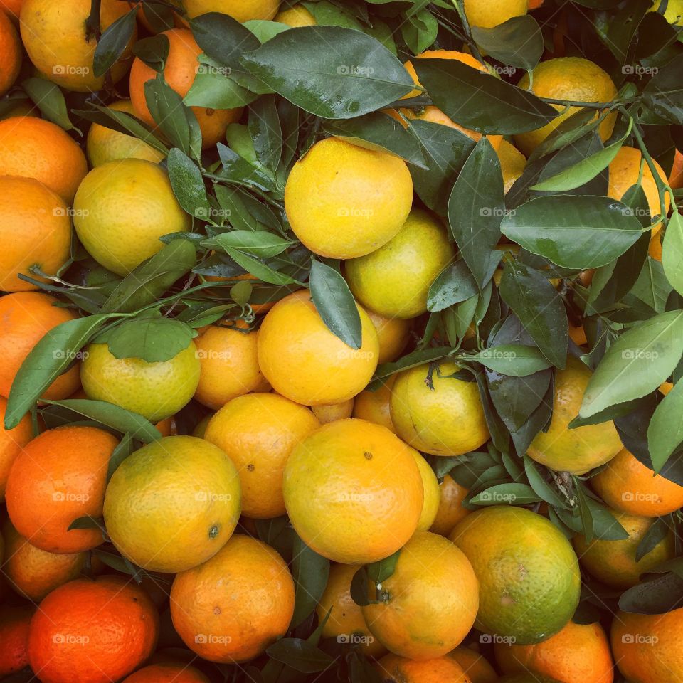 Fresh fruit orange