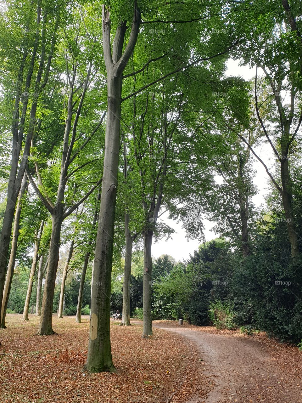 Düsseldorf park