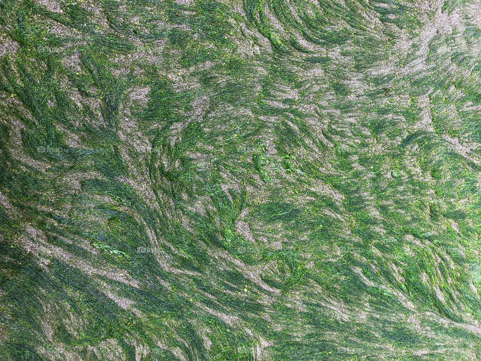 Aerial view of Chilean seaweed, wind marcks