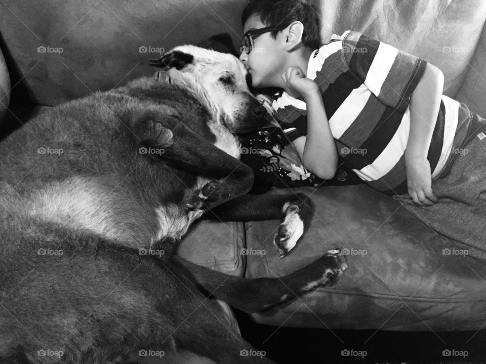 Precious Moment with Older Dog