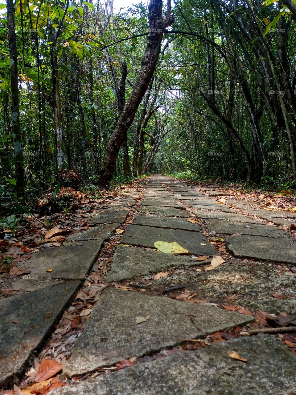 Kumarakom Bird Sanctuary is situated at Kumarakom in Kottayam taluk of Kottayam district in the Indian state of Kerala.Kottayam,Kerala,India.