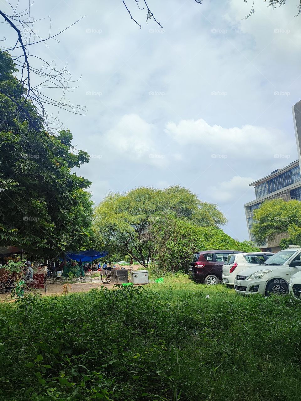 Beautiful scenery view.