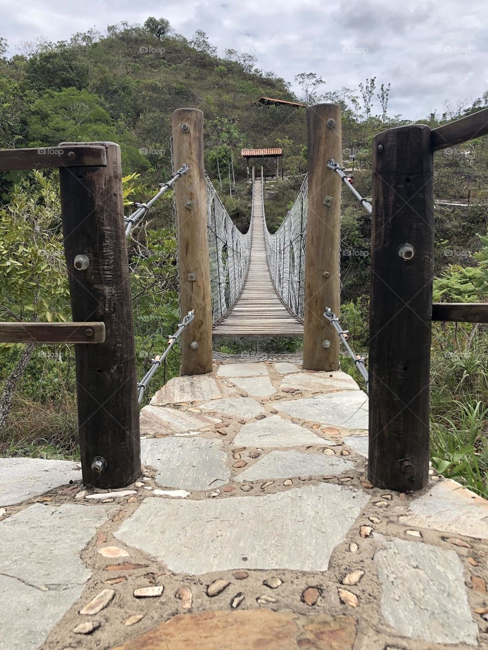 Hanging bridge over the river and the forest