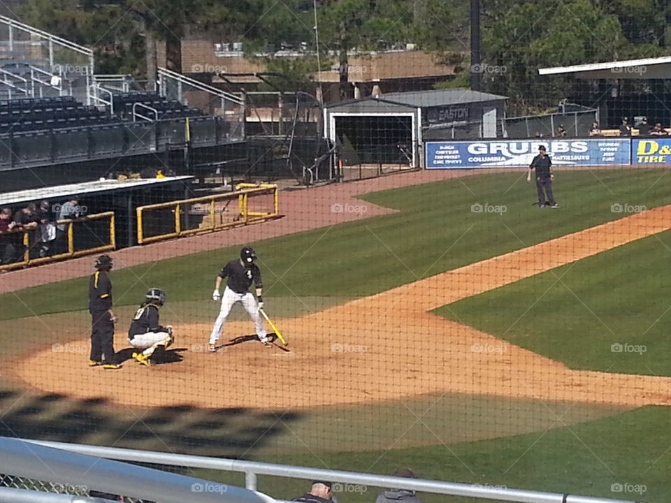 college baseball