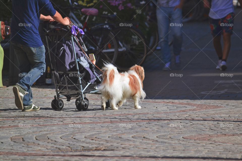 People, Street, Competition, Road, Motion