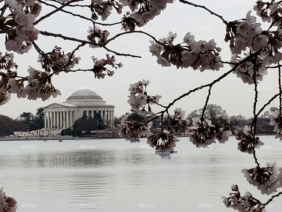 Jefferson Memorial