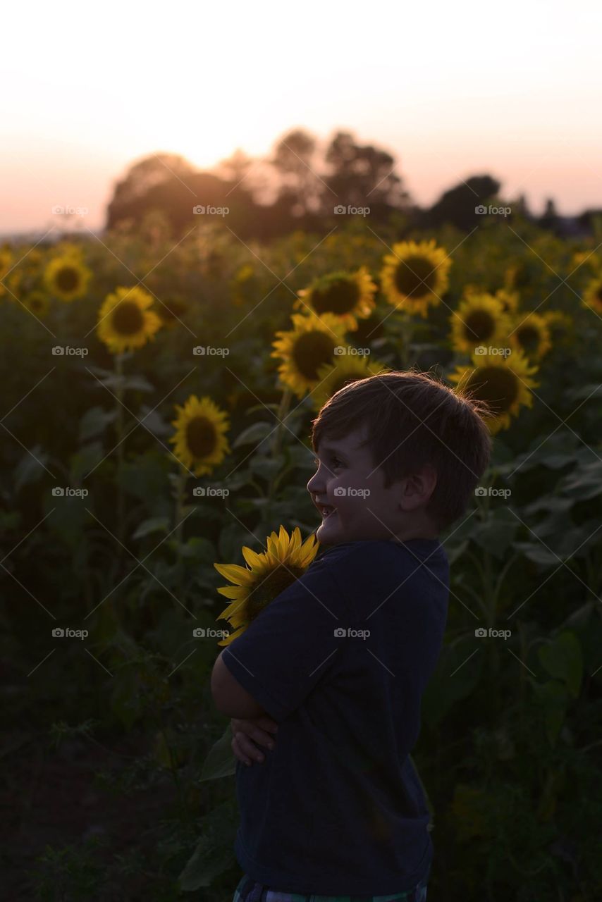 Sunflower hugs 🤗 