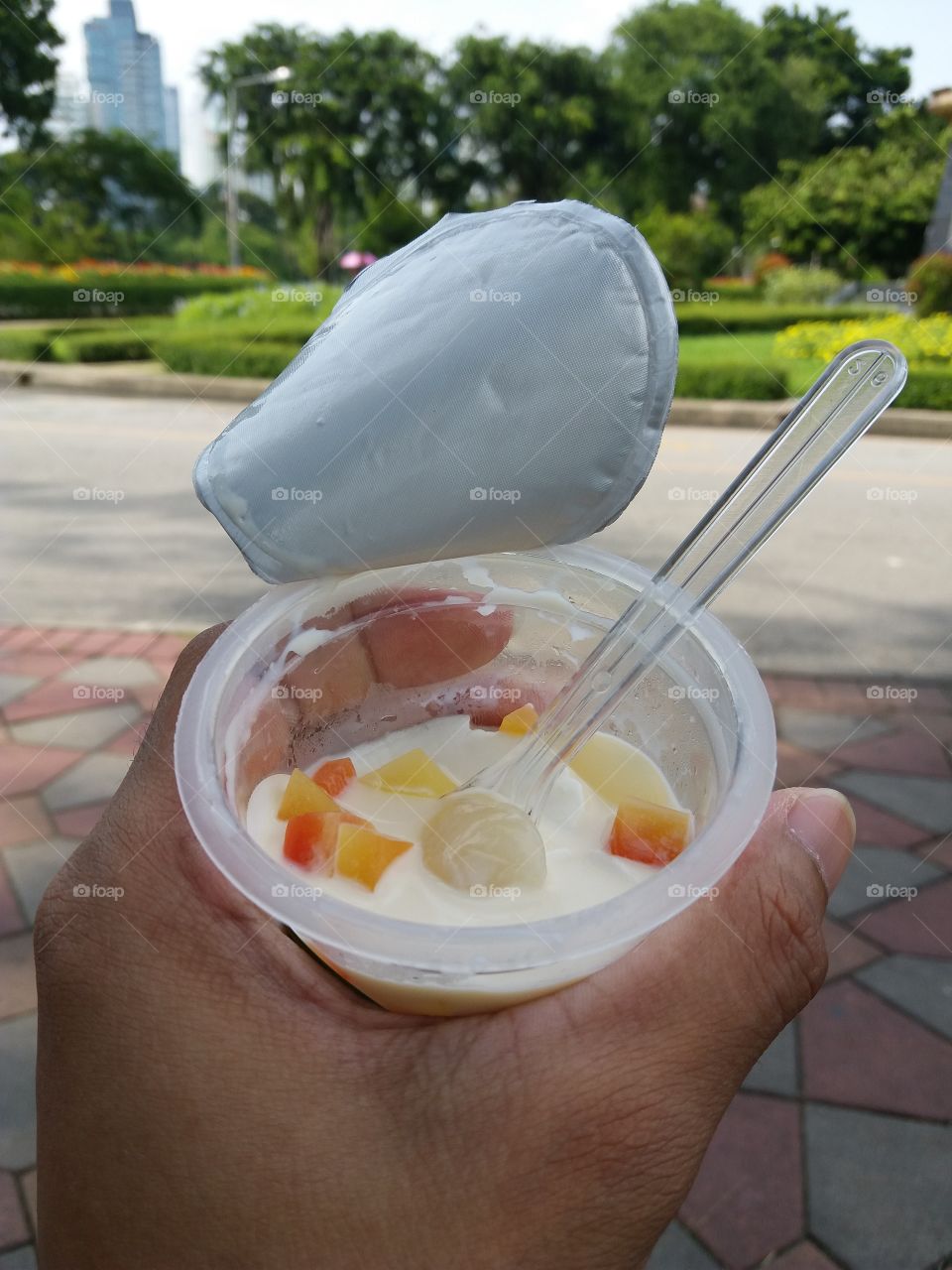 jelly with milk mixed fruit