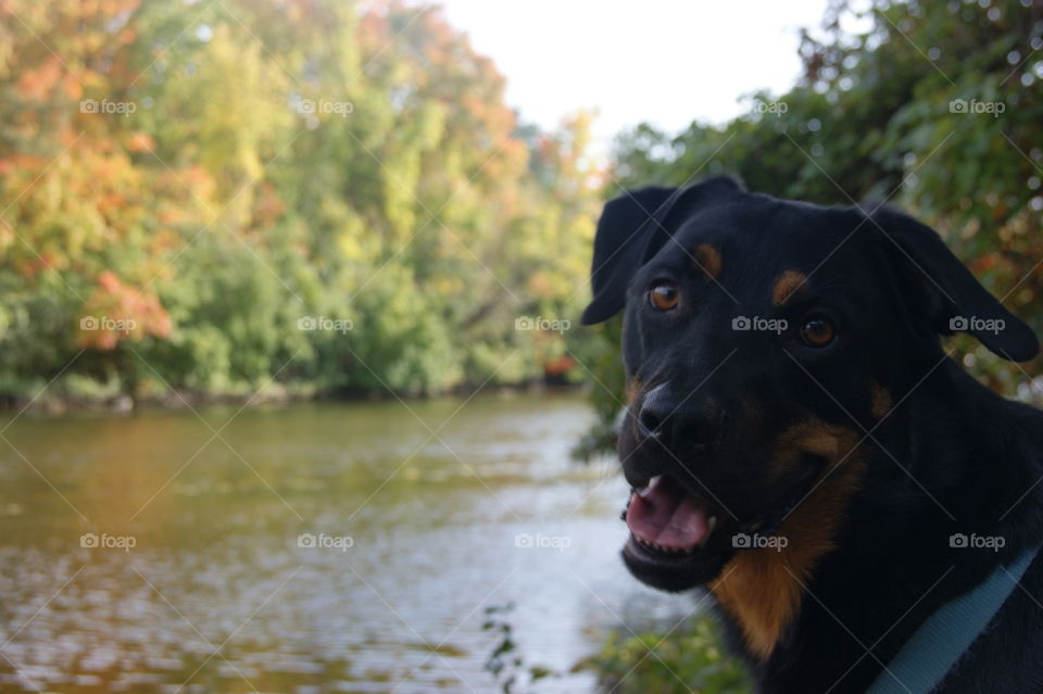 Jake is happy because fall's his favorite season! 