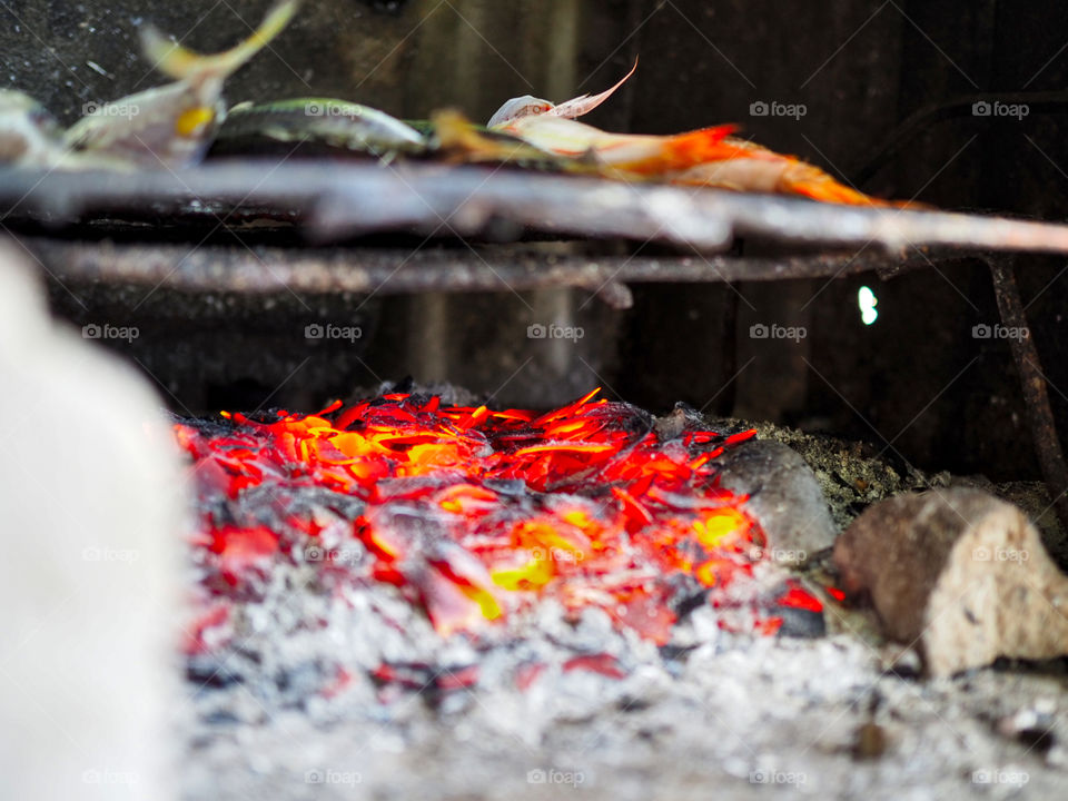 Grilling newly catched fish