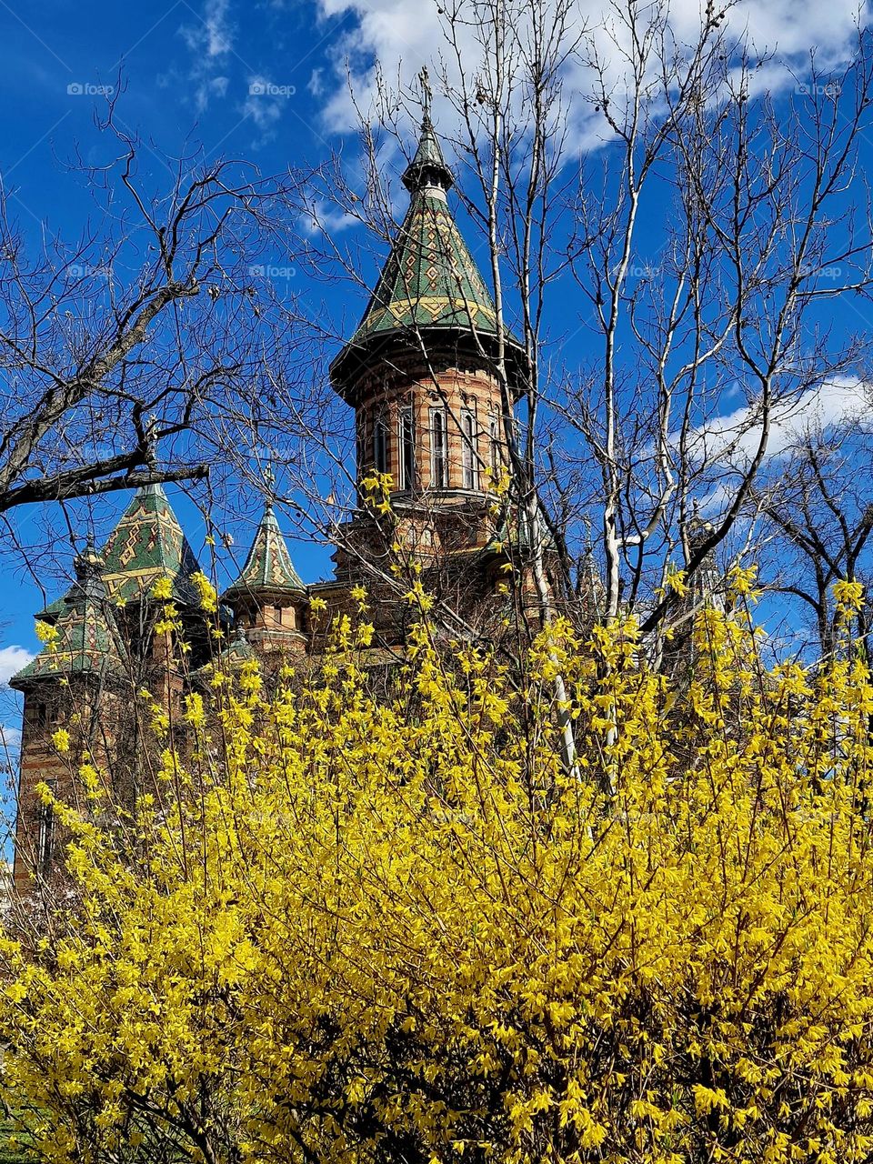 the spring season in Timisoara