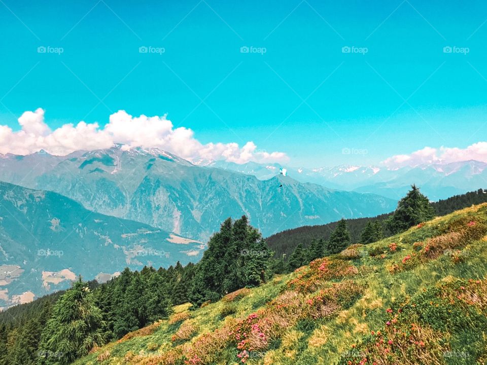 Mountains view, lots of trees, grass and flowers . Beautiful nature, summer weather is great , hiking trip