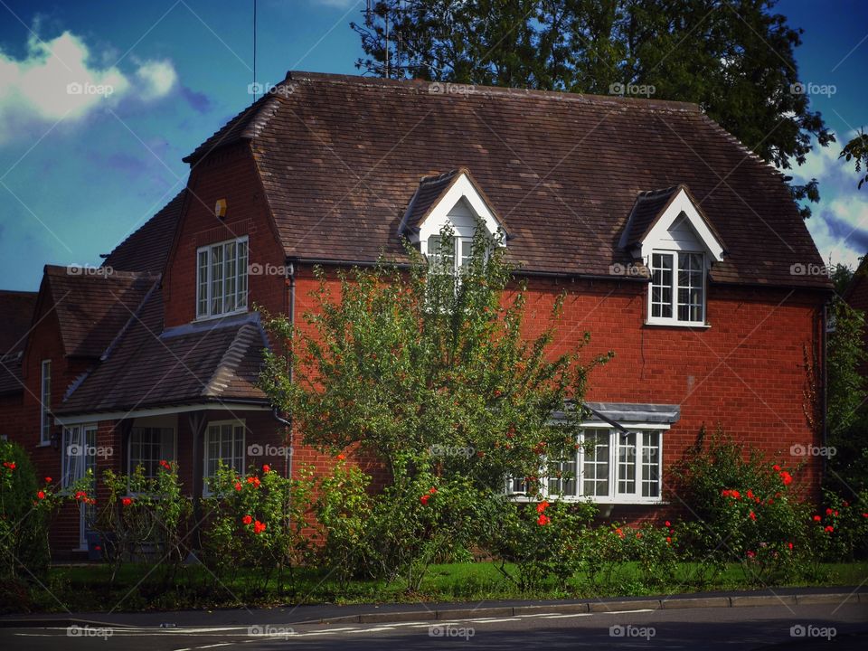 House. Garden