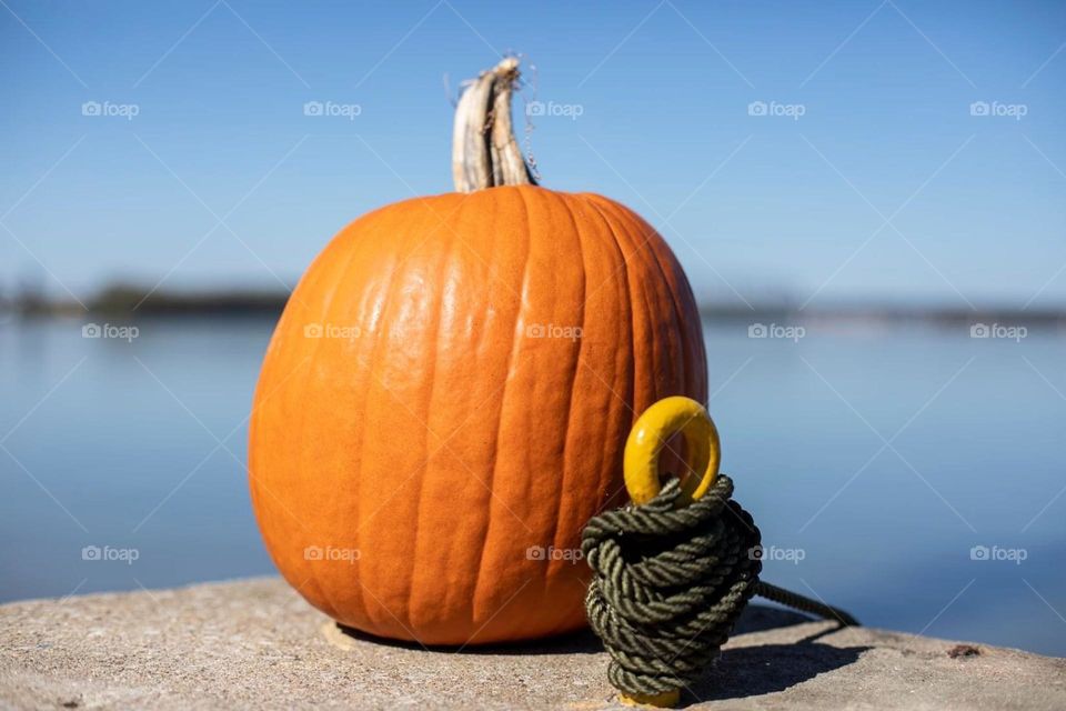 Calabaza 