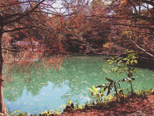 Lake View in Autumn Season