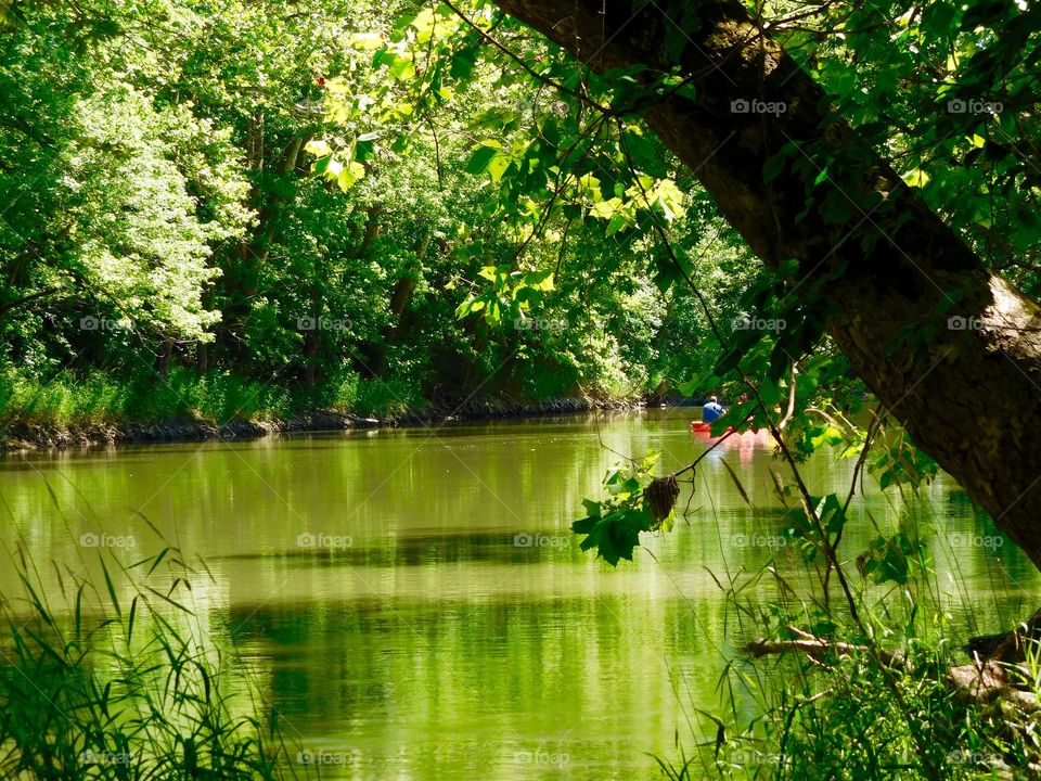 Canoeing down the river