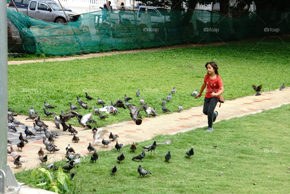 a kid chasing birds