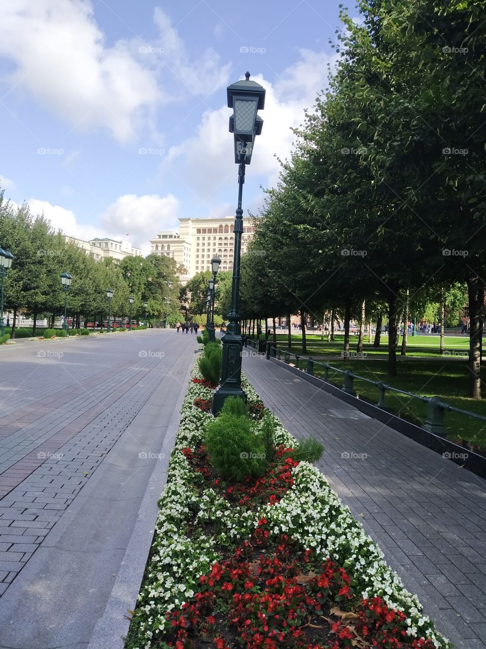 Square in the city Park.