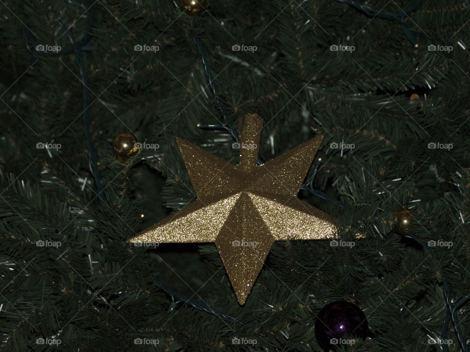 Christmas star