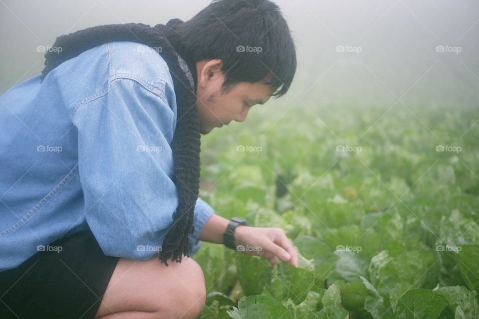 Love it.... a vegetables at thailand.