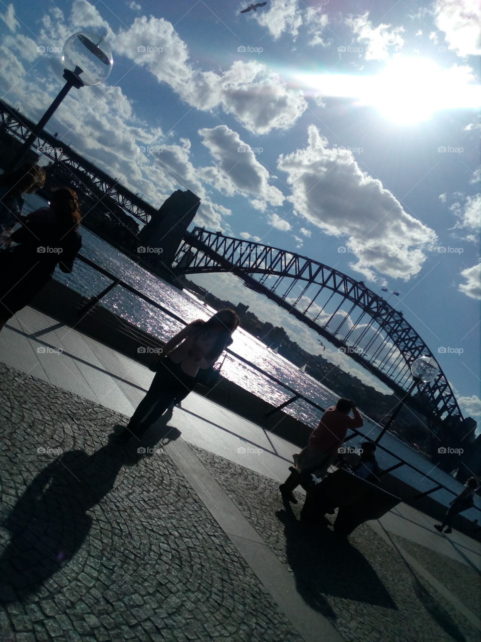 They Sydney Harbour Bridge