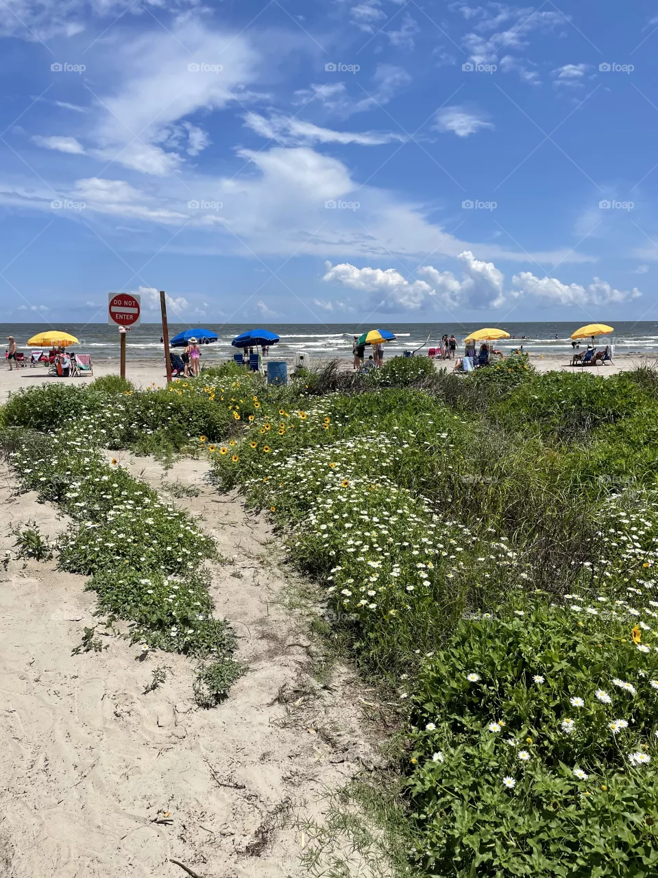 Beach trail