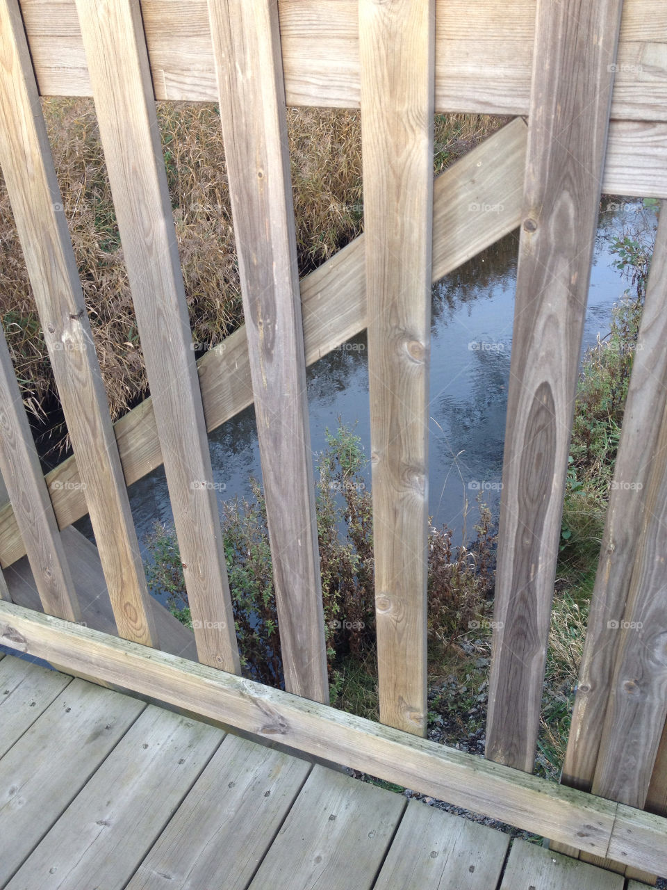 fence water autumn bridge by liselott