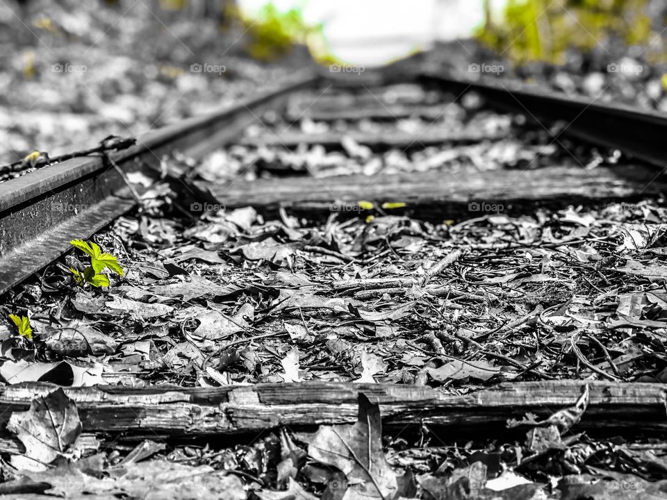 Old rusty abandoned train track