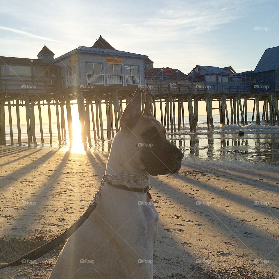 Scooby. Sunrise thru pier in Old Orchard a Beach, Maine.