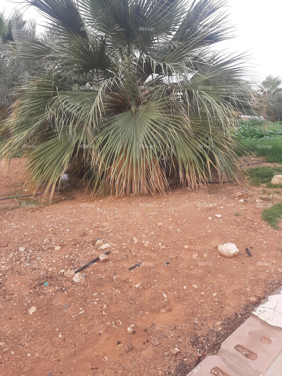 Please help me, I am very poor, I need your support and God is in need