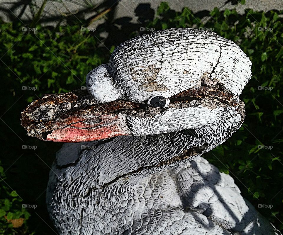 Crumbling and weathered Garden Goose!