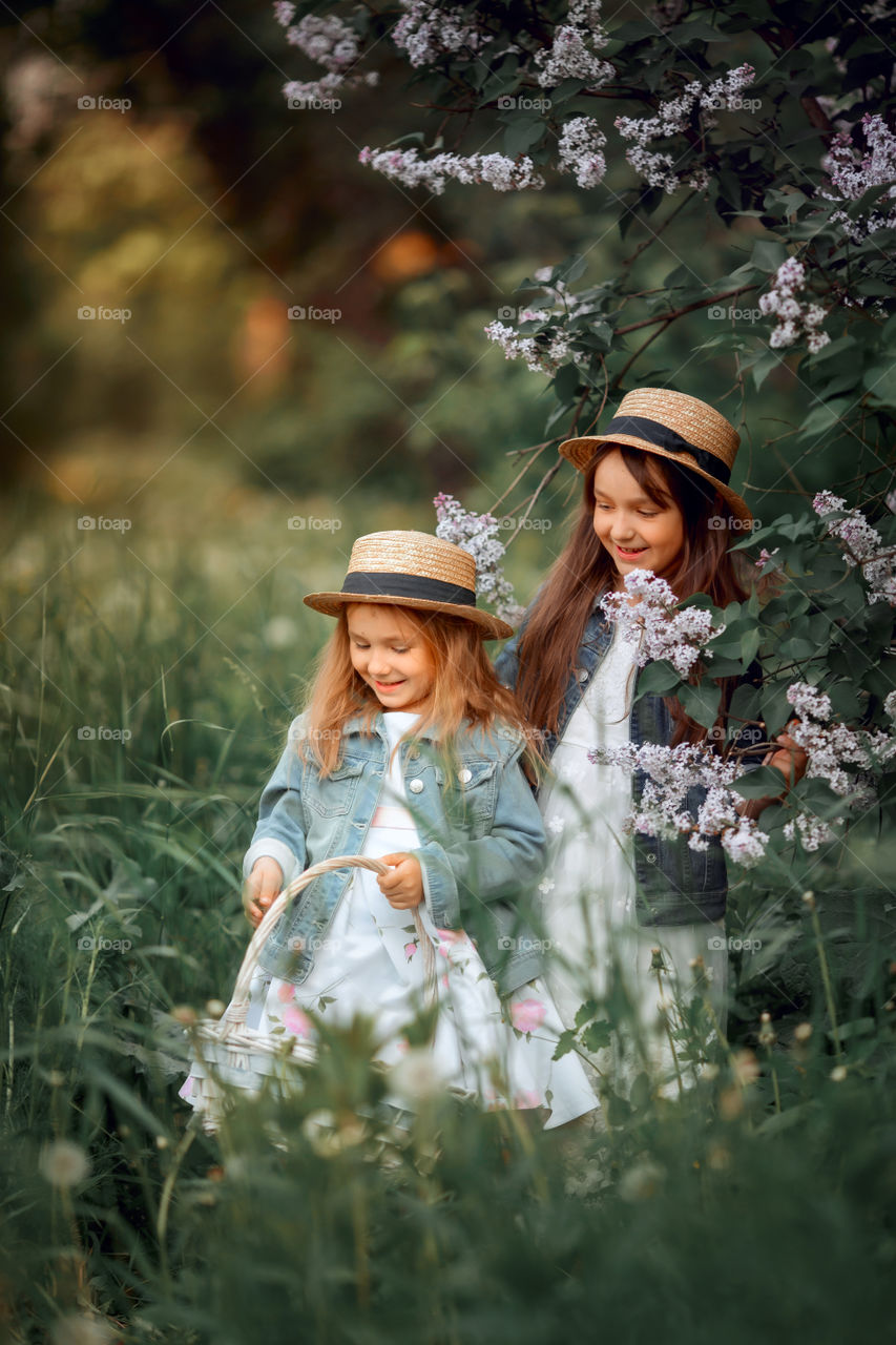 Little sisters in a hat near blossom lilac tree at sunset 