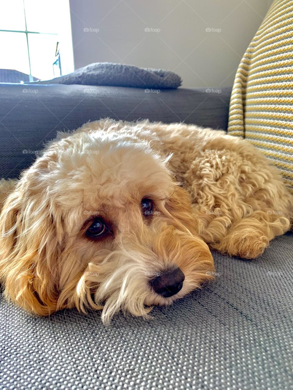 She can pose for the camera 🎥