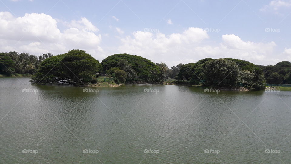 Water, Landscape, River, Tree, Lake