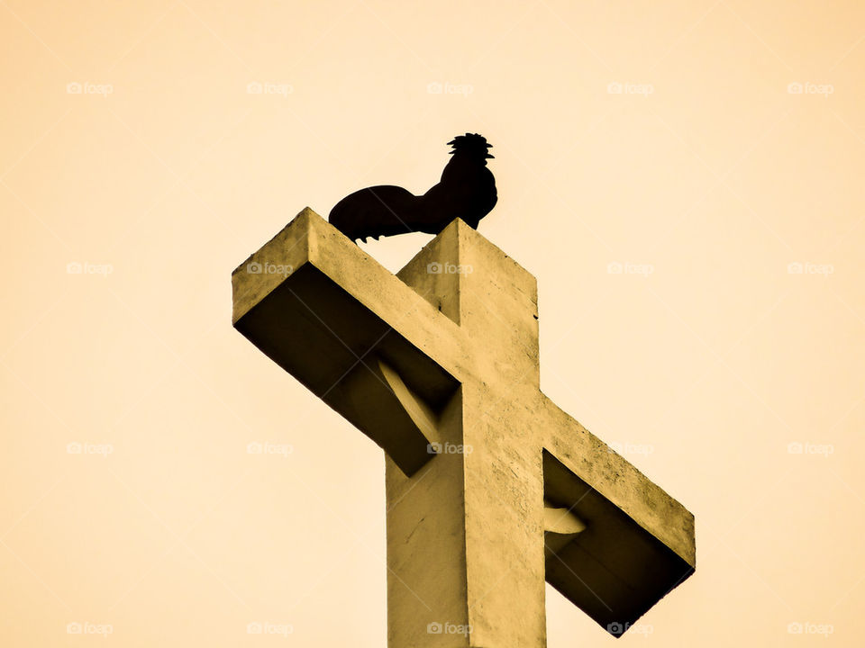 Rooster on a Christians cross