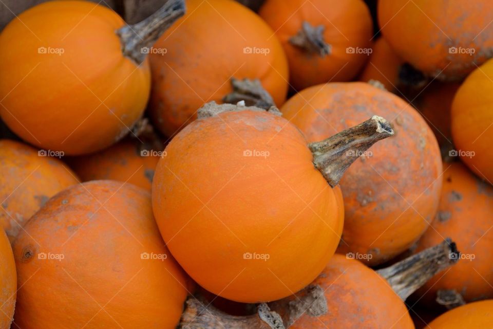 Pumpkins