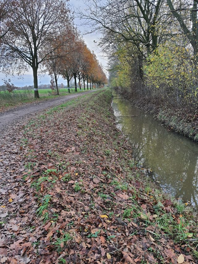 Autumn