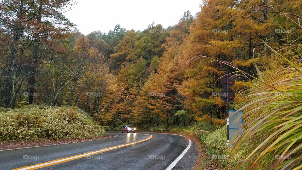 Fall foliage in the mountains