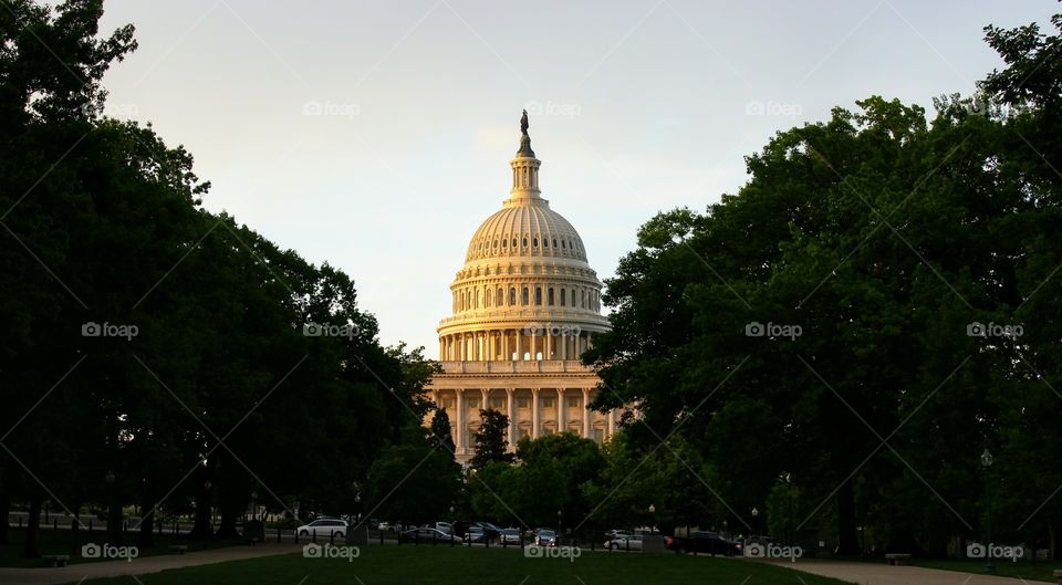 Capitol at Sunrise