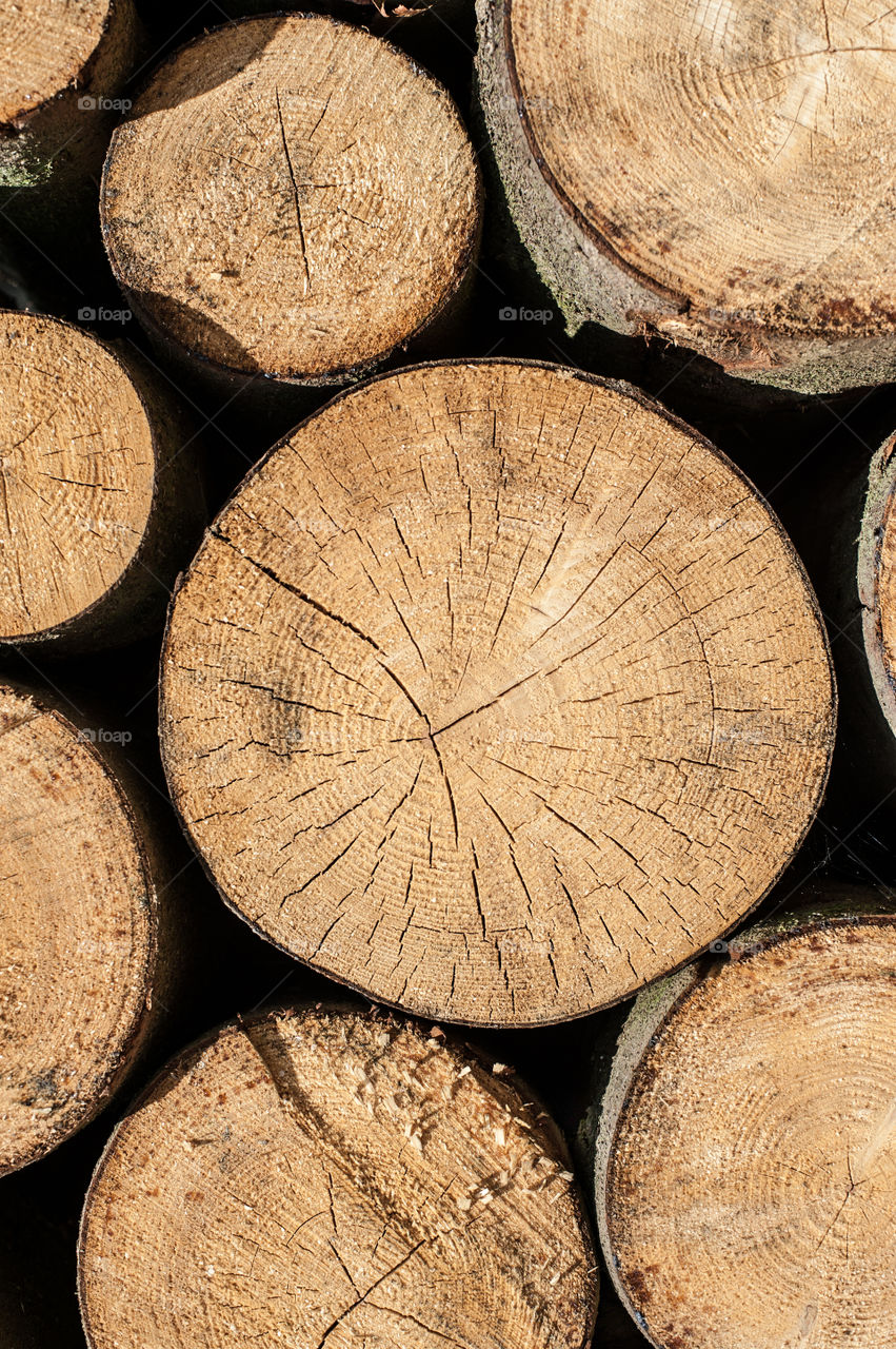 Stack of wooden logs