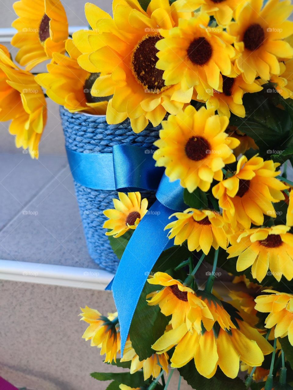 Complementary Colors, Flower Pot