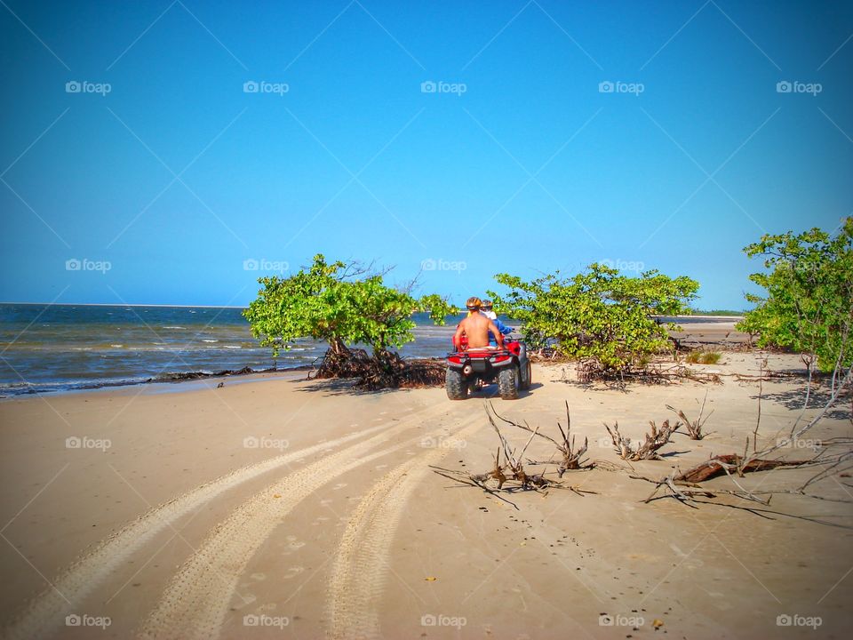 Lençois Maranhenses Maranhão Brazil