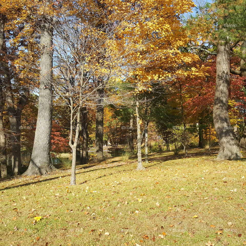 Fall rural Indiana