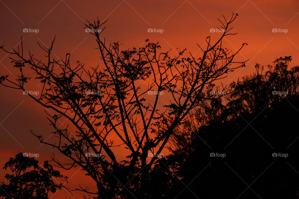 The color of the sky