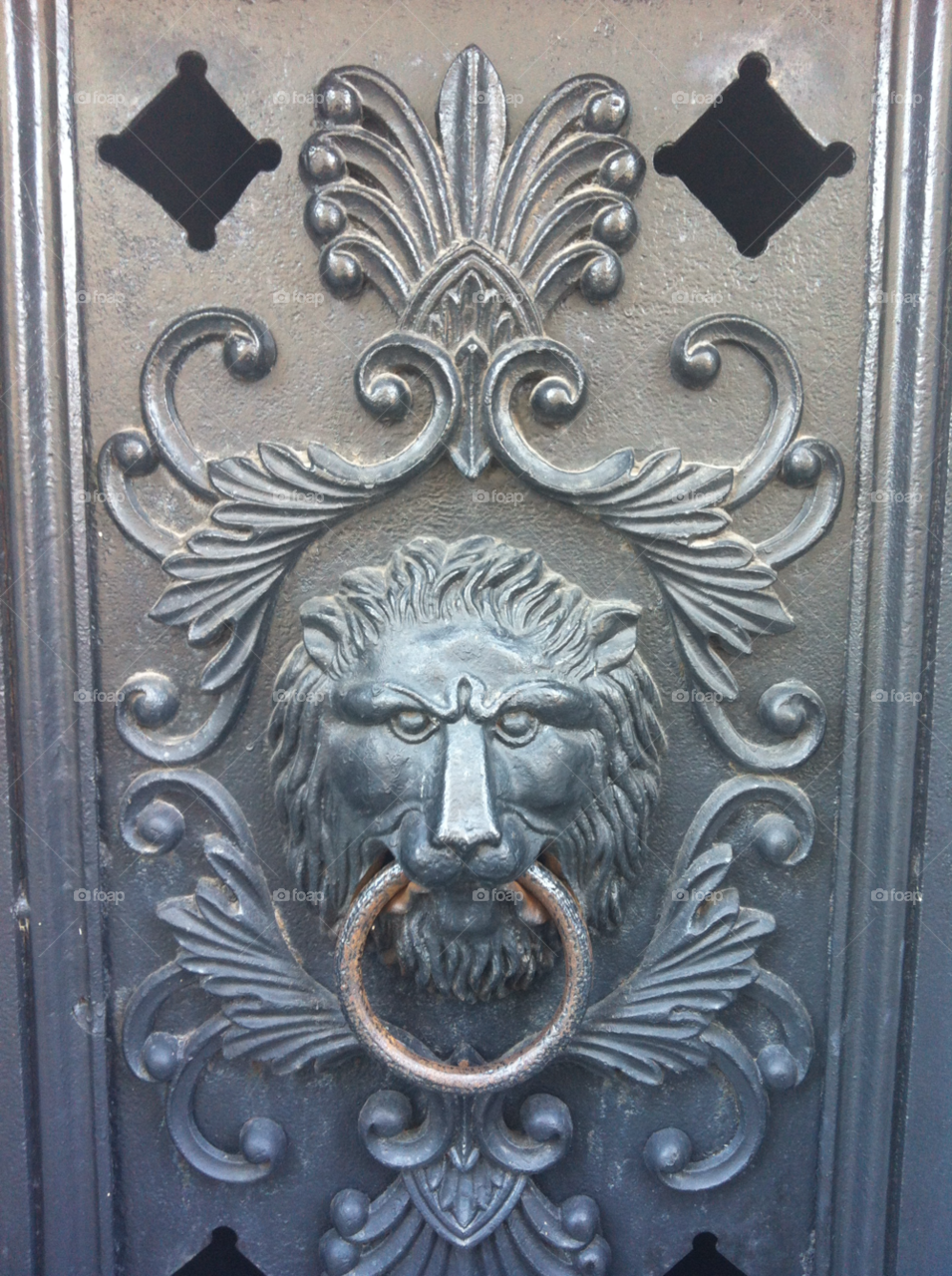 door metal lion decoration by cygnusmage