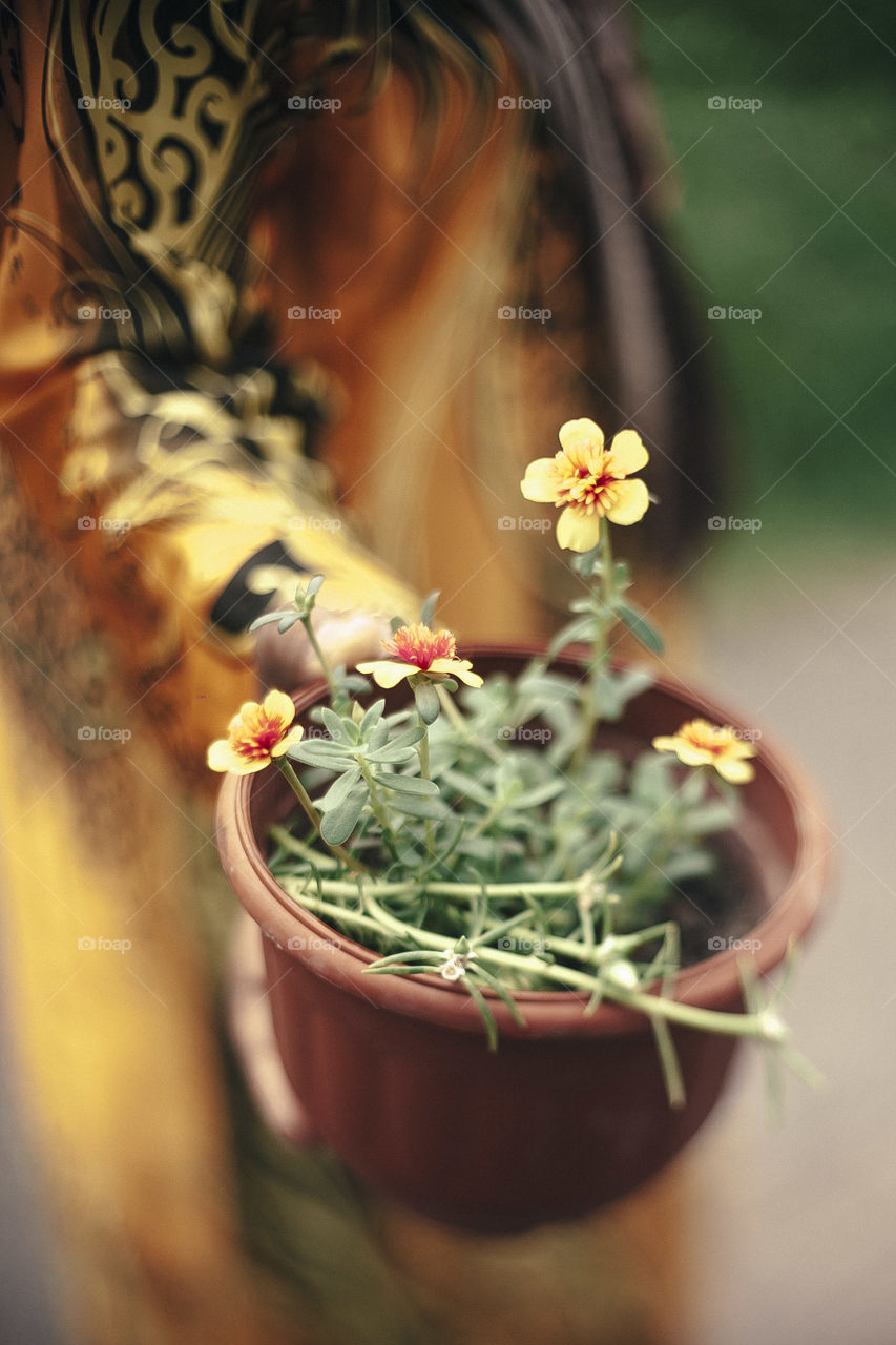 A woman's hand holding flower pot