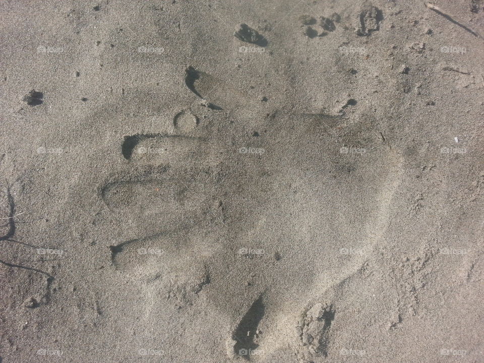 Sand, Footprint, No Person, Texture, Beach
