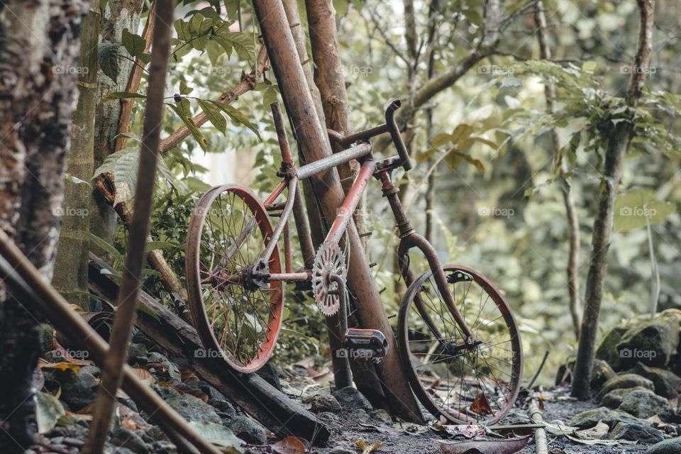 broken bicycle in the yard