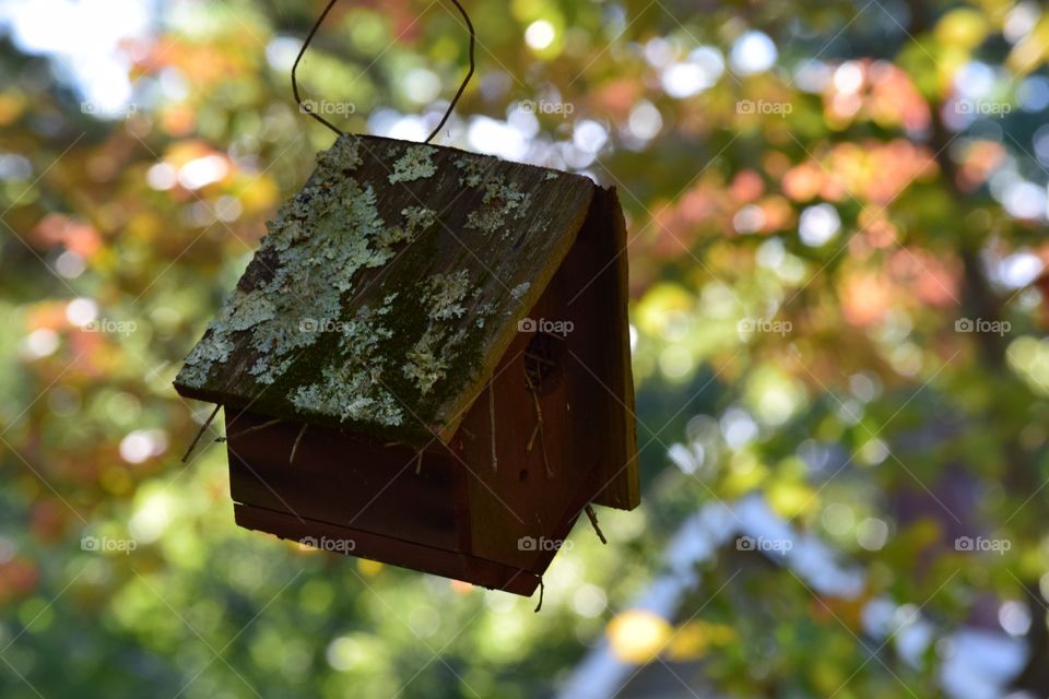 Close-up of a bird house