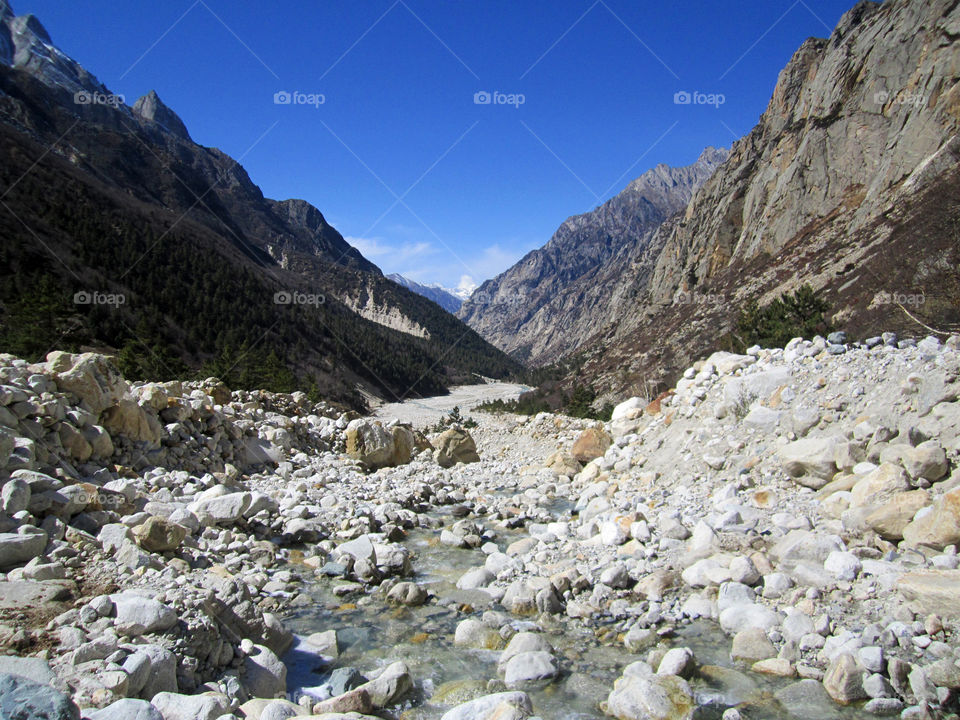 Gangotri National Park